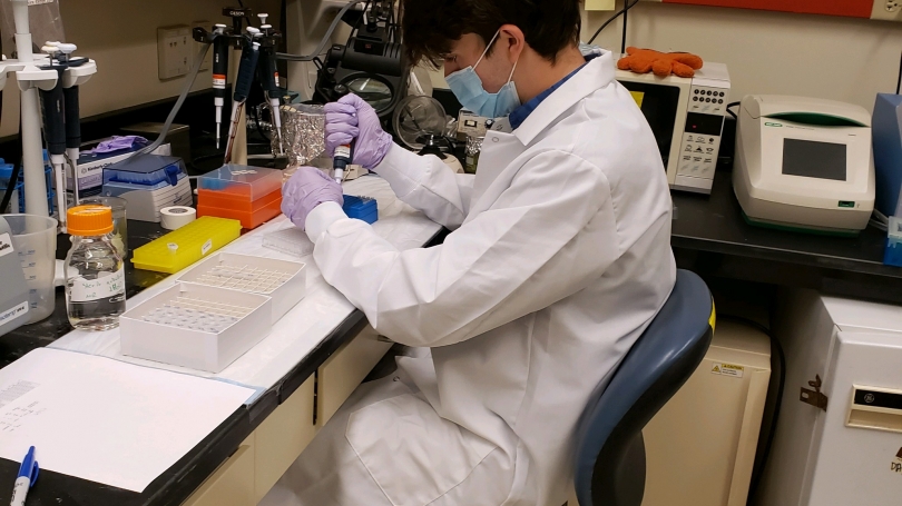 A student in a scientific lab