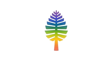 rainbow pine