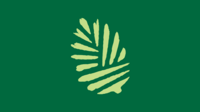DCSI Pine Cone Logo
