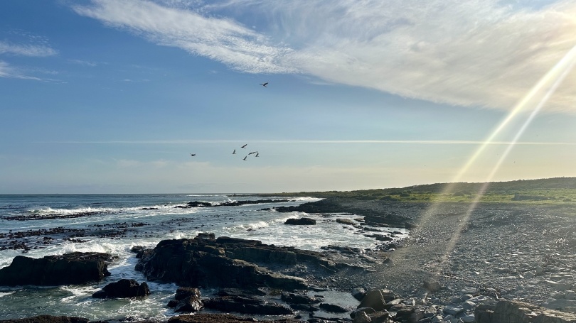 The Sea 