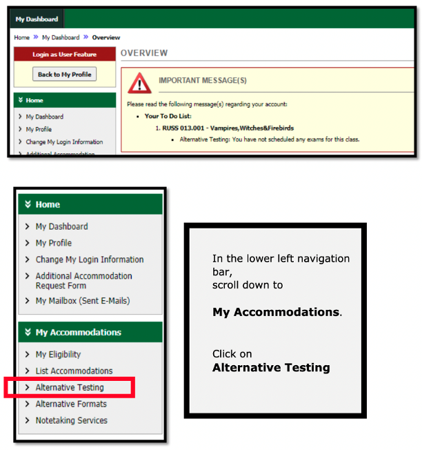 navigating to the alternative testing module In the lower left navigation bar, scroll down to "My Accommodations", and select "Alternative Testing"