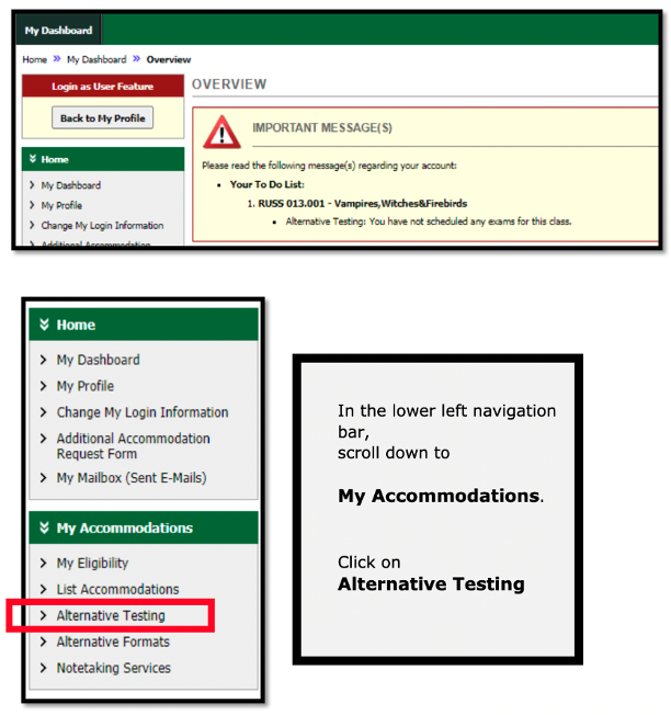 In the lower left navigation bar, scroll down to "My Accommodations", and select "Alternative Testing"