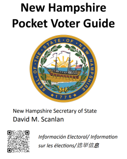 Screenshot of Pocket Voter Guide