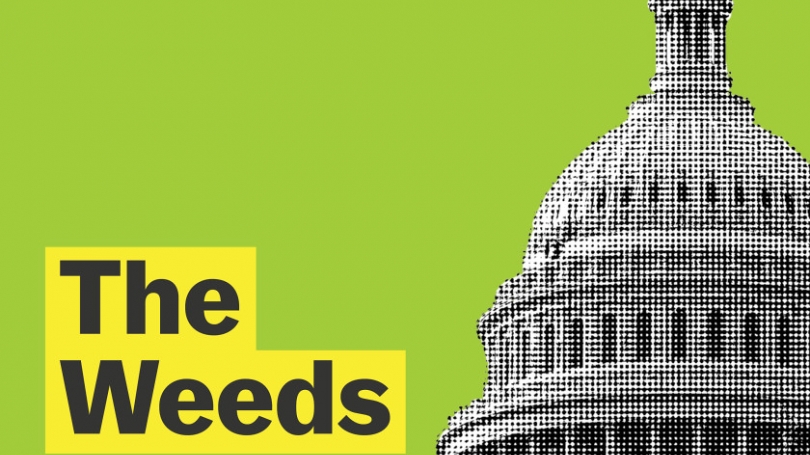 Vox, The Weeds Vox, The Weeds
