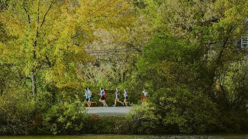 runners on road under tree cover