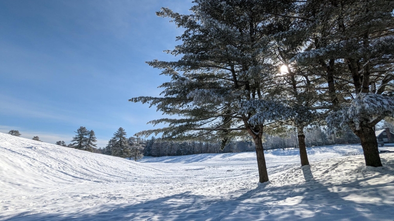 snow and trees at Pine Park