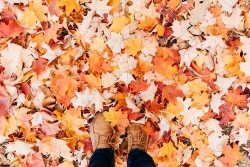 A student stands among the fallen leaves.