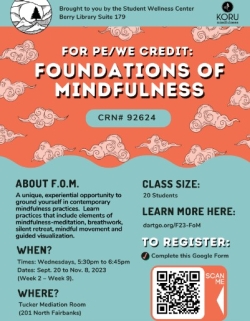 Foundations of Mindfulness information sheet