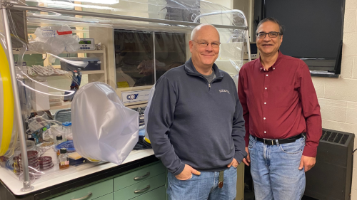 Professors O'Toole and Sharma